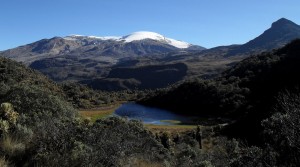 Centro_de_visitantes_el_cisne_Luis_Alfonso_Cano